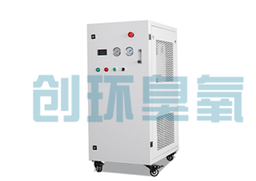 和田石斑鱼养殖水质调控完整指南:臭氧发生器配置与操作步骤