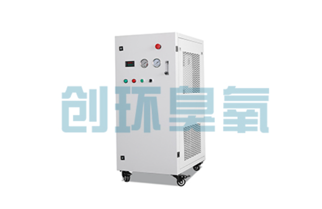 和田比传统换水更高效?臭氧发生器在石斑鱼养殖中的水质净化原理解析